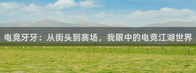 乐竞电竞锁定金额：电竞牙牙：从街头到赛场，我眼中的电竞江湖世界