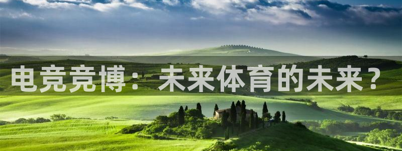 成都乐竞电竞：电竞竞博：未来体育的未来？