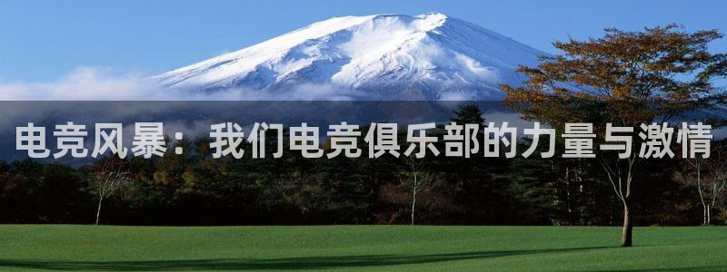 成都乐竞电竞青训基地：电竞风暴：我们电竞俱乐部的力量与激情