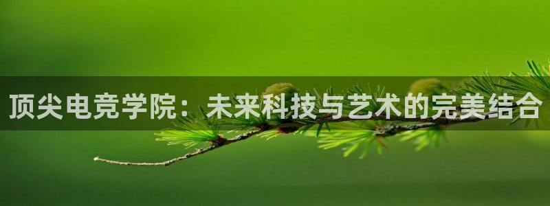 乐竞电竞平台：顶尖电竞学院：未来科技与艺术的完美结合
