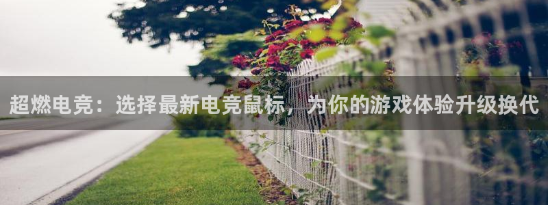 乐竞电竞青训基地怎么样：超燃电竞：选择最新电竞鼠标，为你的游戏体验升级换代