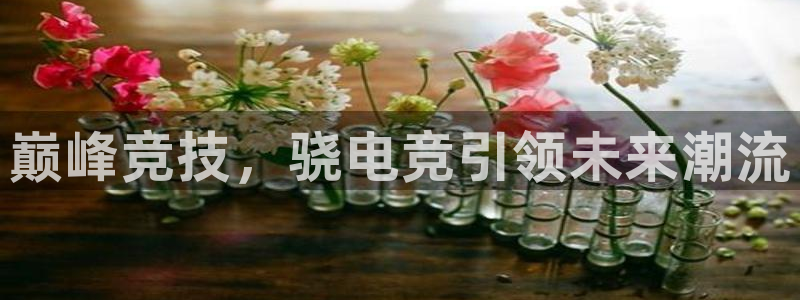 成都乐竞电竞青训基地：巅峰竞技，骁电竞引领未来潮流