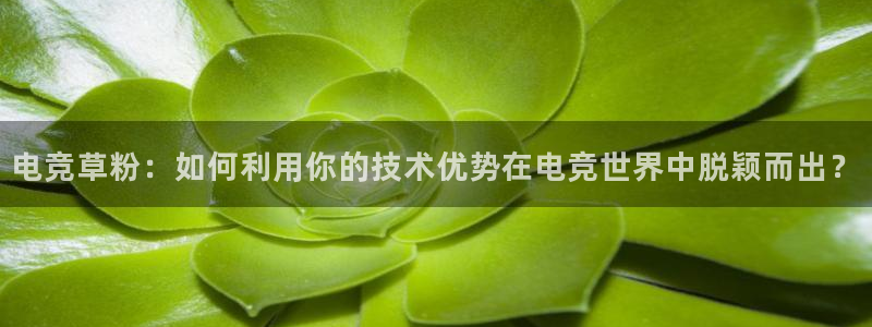 成都乐竞电竞：电竞草粉：如何利用你的技术优势在电竞世界中脱颖而出？