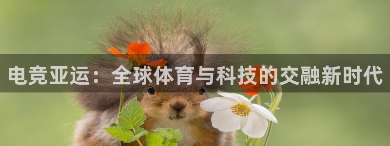 乐竞电竞平台：电竞亚运：全球体育与科技的交融新时代