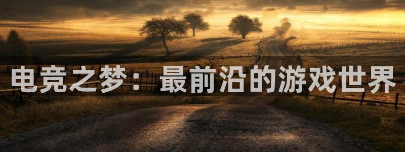 乐竞电竞官网首页：电竞之梦：最前沿的游戏世界