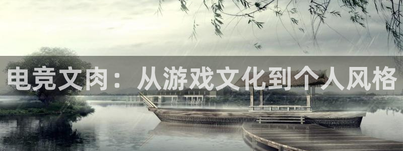 成都乐竞电竞青训基地：电竞文肉：从游戏文化到个人风格