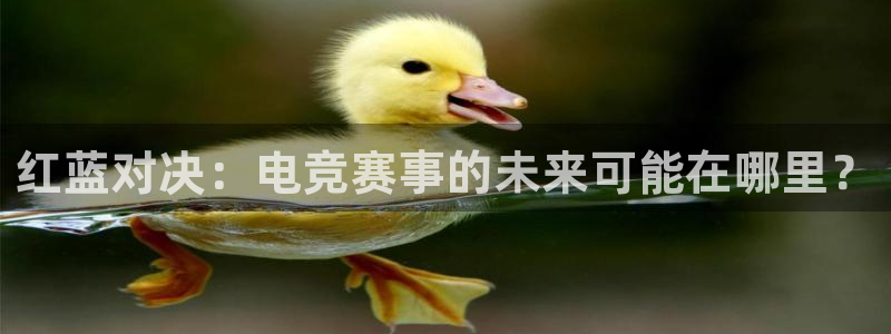 乐竞电竞竞猜：红蓝对决：电竞赛事的未来可能在哪里？