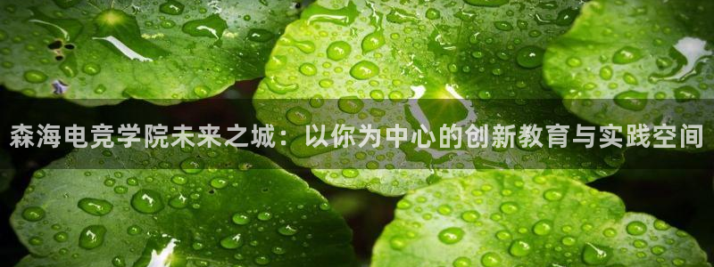 乐竞电竞青训基地：森海电竞学院未来之城：以你为中心的创新教育与实践空间