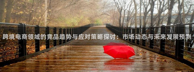 乐竞电竞官网：跨境电商领域的竞品趋势与应对策略探讨：市场动态与未来发展预测