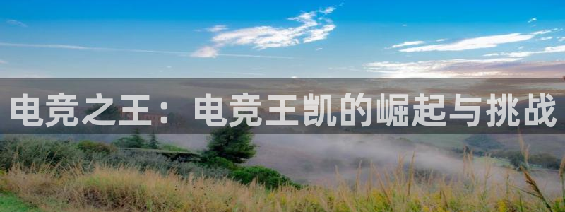 成都乐竞电竞青训基地：电竞之王：电竞王凯的崛起与挑战