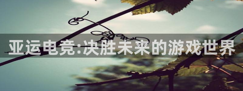 成都乐竞电竞青训基地：亚运电竞:决胜未来的游戏世界